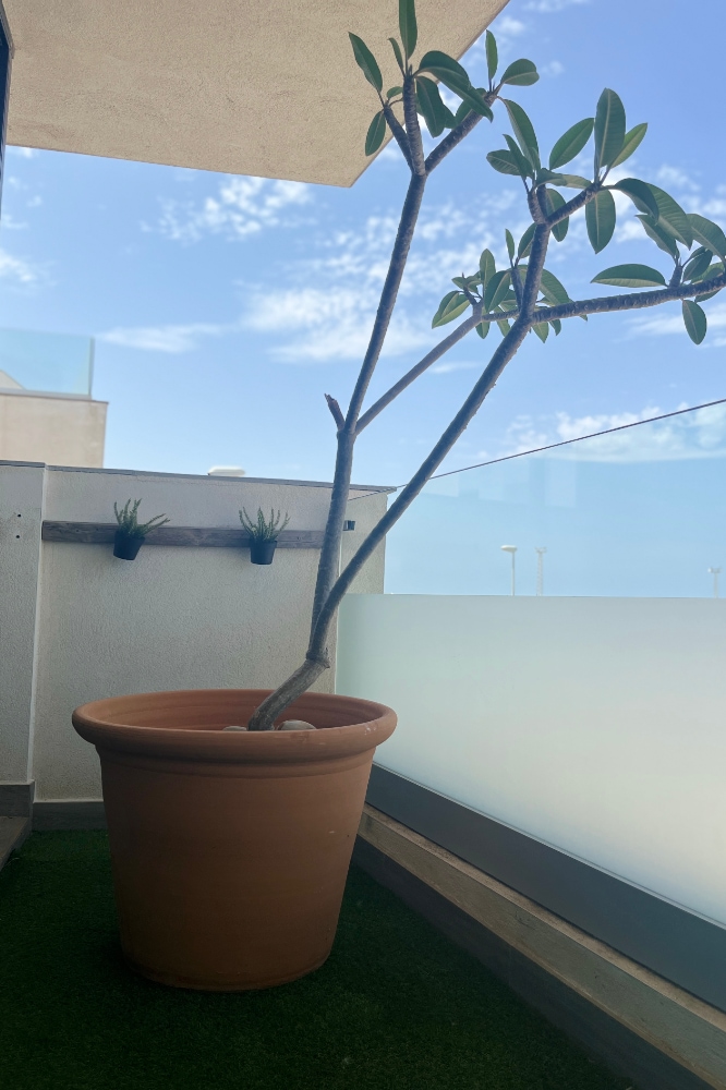 IMG_4924.jpeg